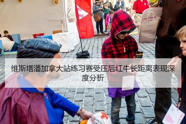 维斯塔潘加拿大站练习赛受压后红牛长距离表现深度分析